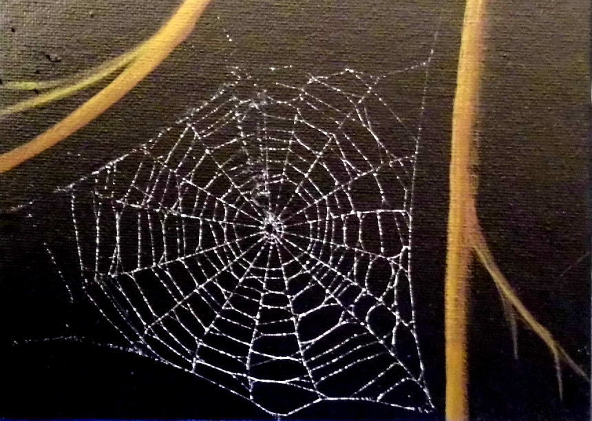 Spider web